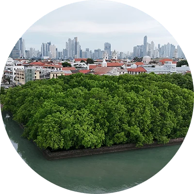 Community Engagement